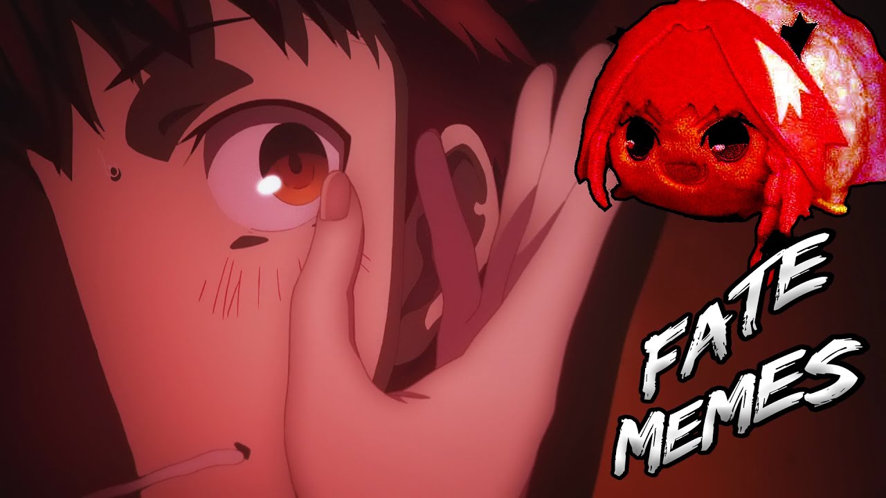 Shirou Can't Escape These Fate Memes! feat. Type-Moon