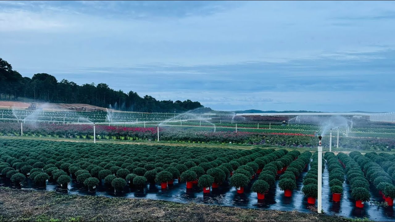 AgVenture: A Trip to Rambo Nursery in Polk County
