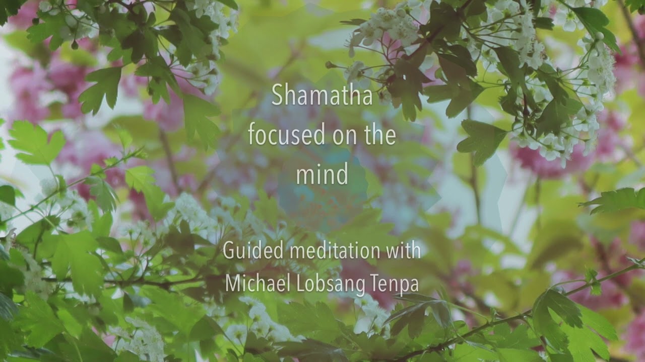 Shamatha Focused on the Mind | Guided meditation