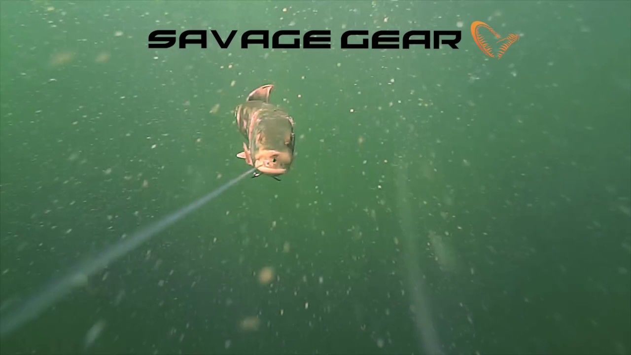 Savage Gear 4D Line Thru Pike