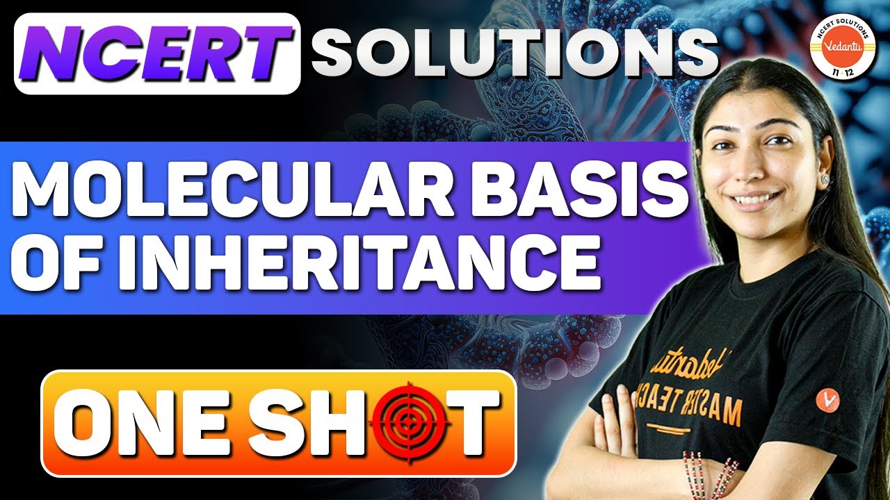 ONE SHOT Molecular Basis of Inheritance🔥| Complete NCERT Solutions | Class 12 Biology | NEET 2024