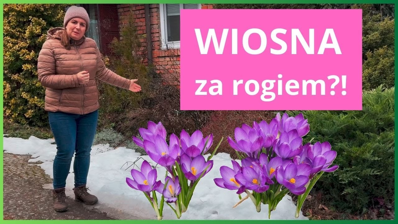 Zimowy spacer po ogrodzie w poszukiwaniu wiosny