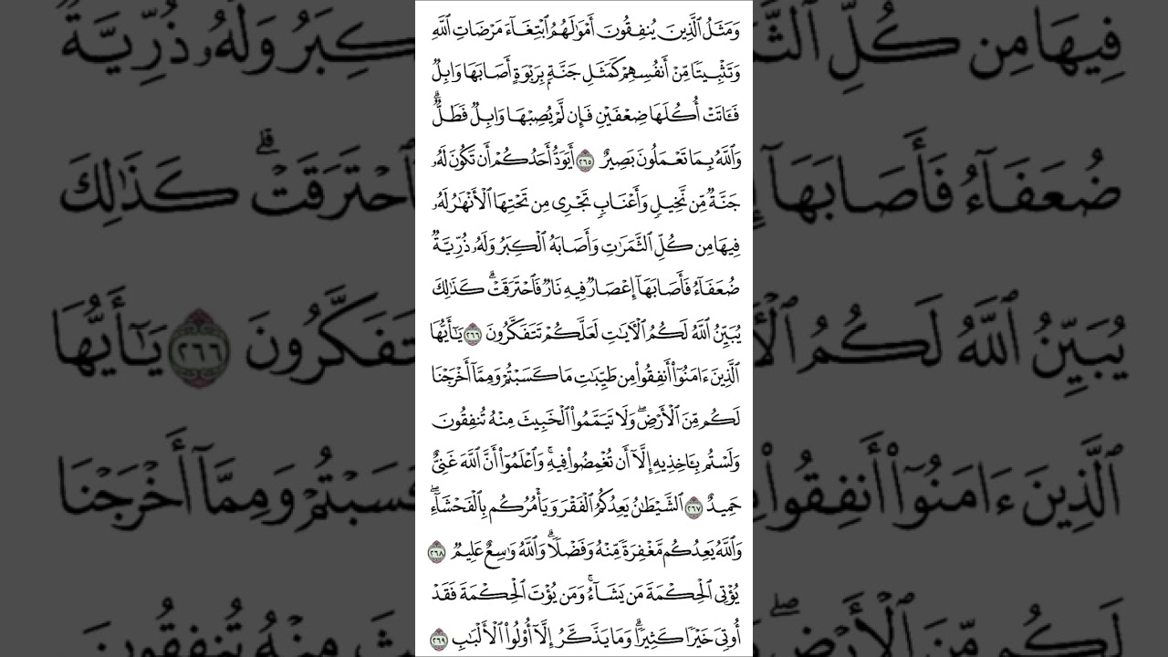 تلاوة سورة البقرة من آية (٢٥٧) إلى آية (٢٧٤) للقارئ آدم عبدالله السالم 