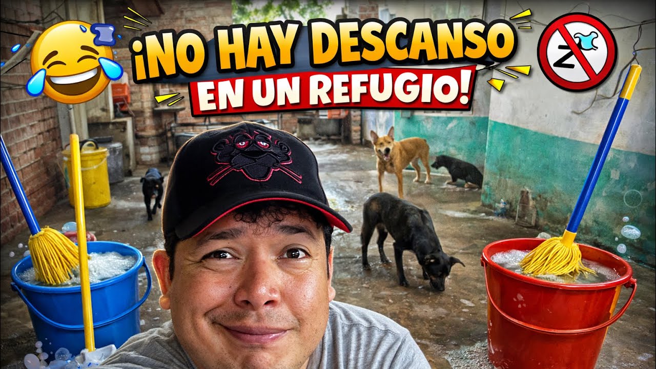 Aquí no se duerme: limpiar, rescatar y volver a empezar