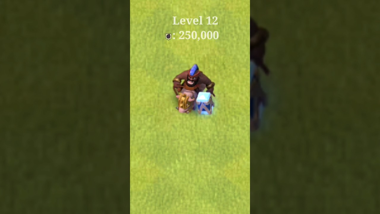 Every level Hog Rider | level 1 to max level | clash of Clans 