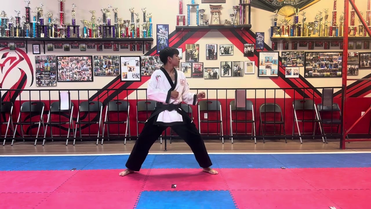 VSK   Patadas de  Giros. . Spinning  kicks