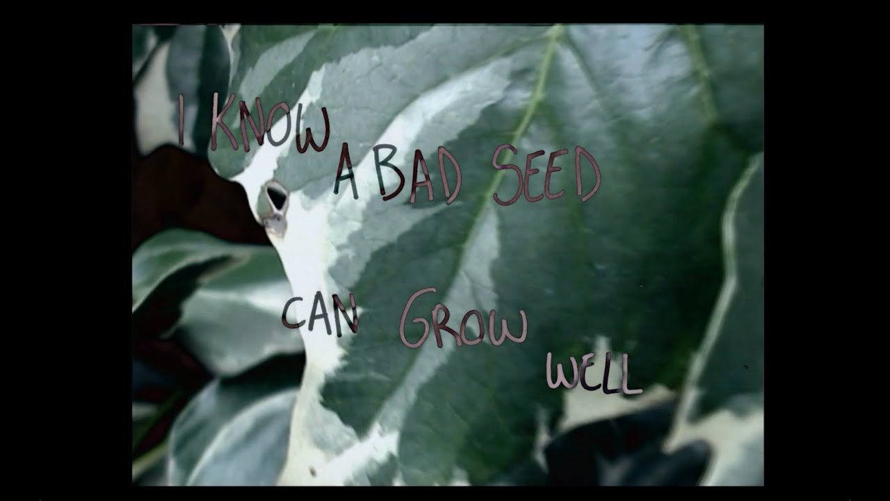 Grow  | Fanchon (Official Lyric Video)