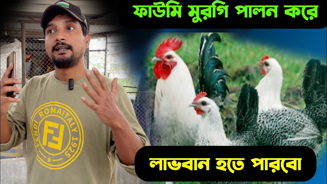 ফাউমি মুরগি পালন করে লাভবান হতে পারবো