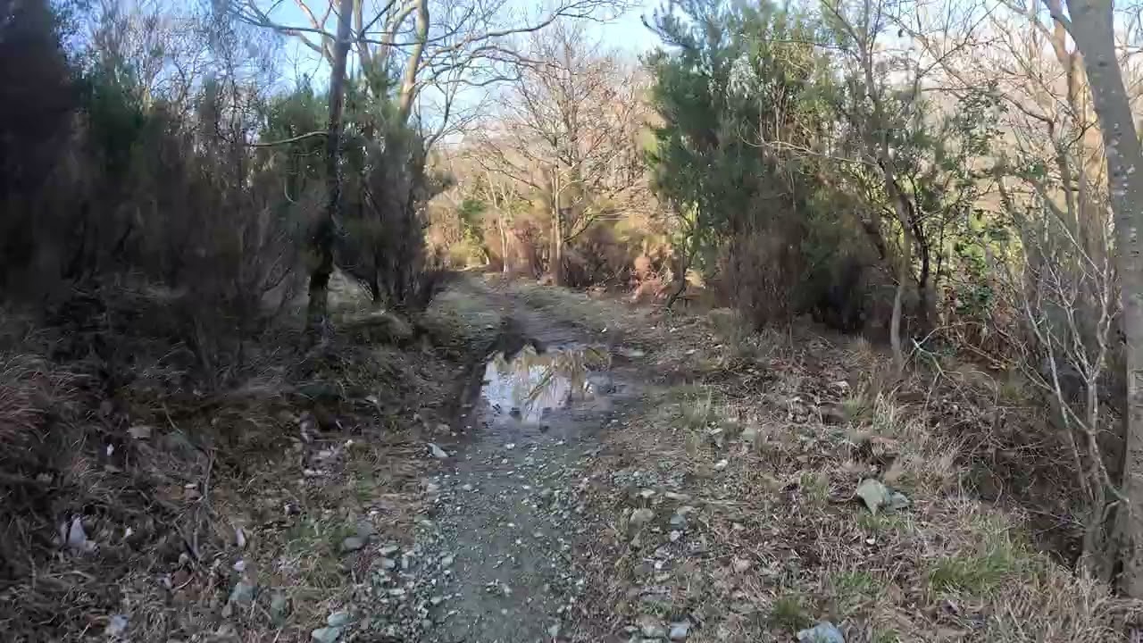 RAMOGNINA MURAGLIONE_09022026