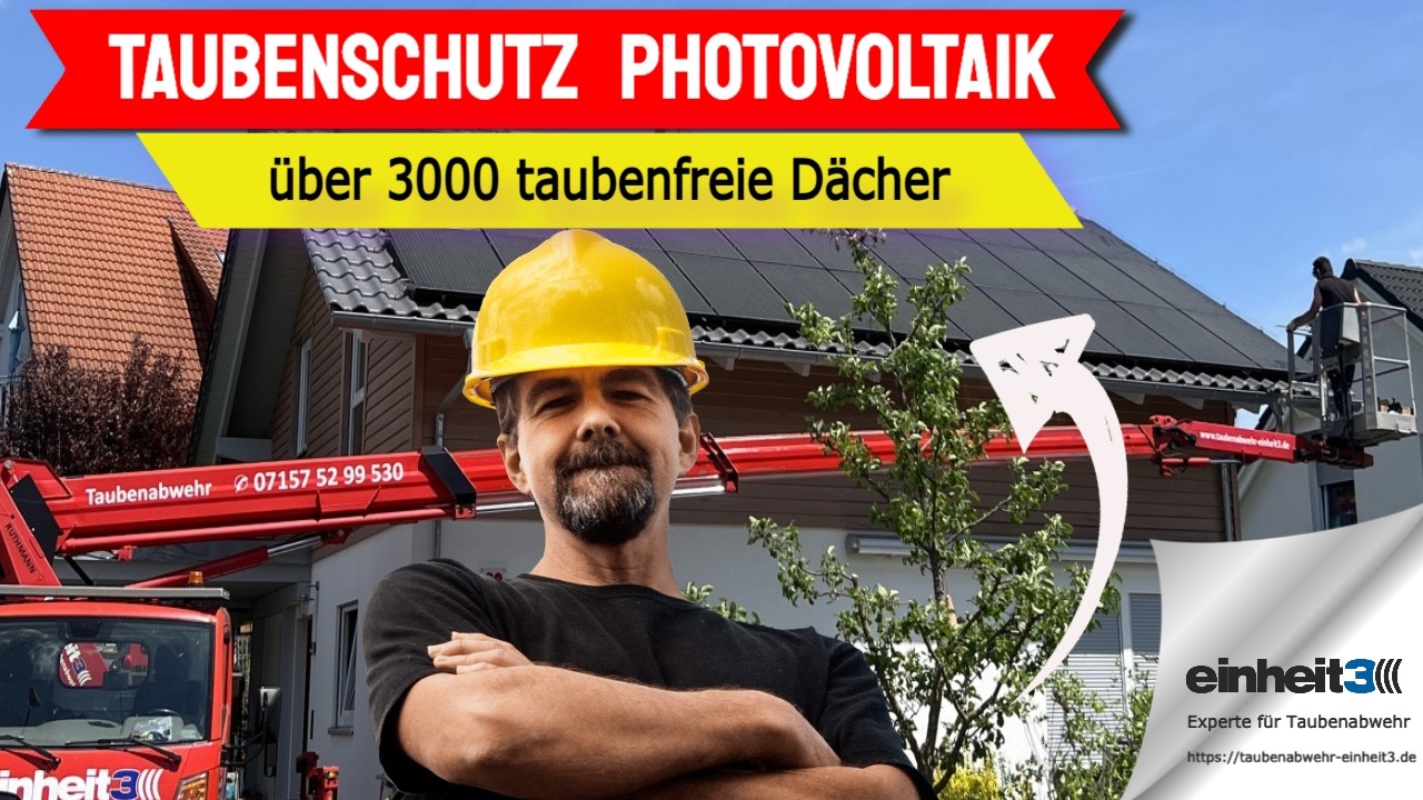 Taubenschutz Photovoltaik