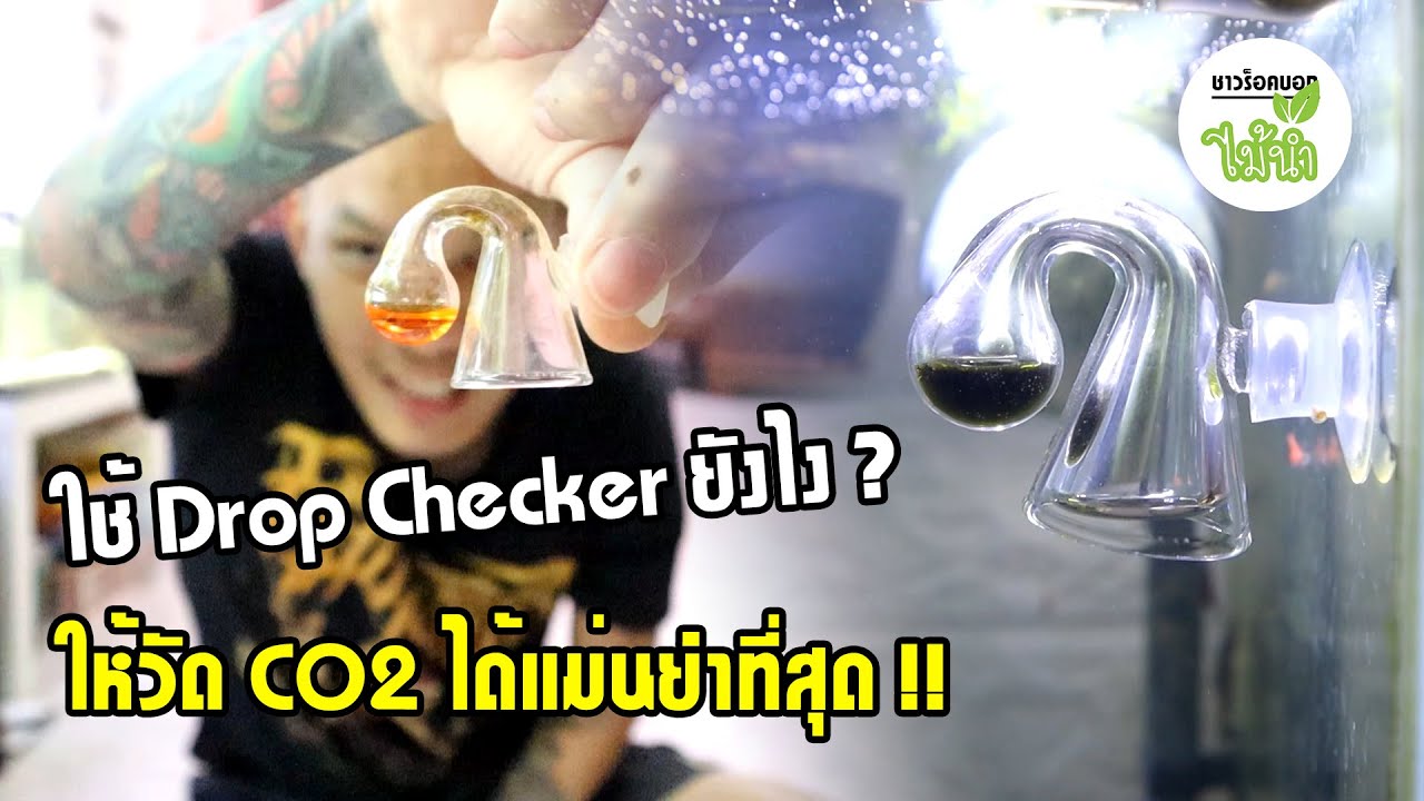 วิธีใช้ Drop Checker วัดคาร์บอนไดออกไซด์ (CO2) ให้แม่นยำที่สุด | ชาวร็อคบอกไม้น้ำ