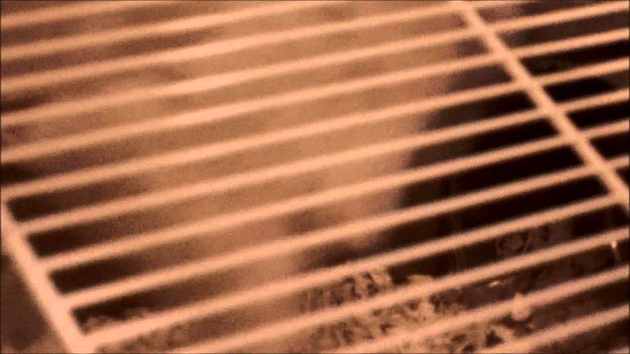 Mr Messy: Hamster Impossible