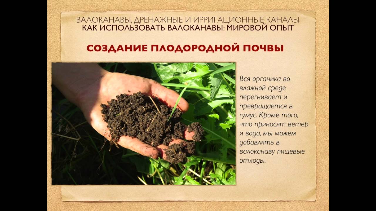 Валоканавы: мировой опыт