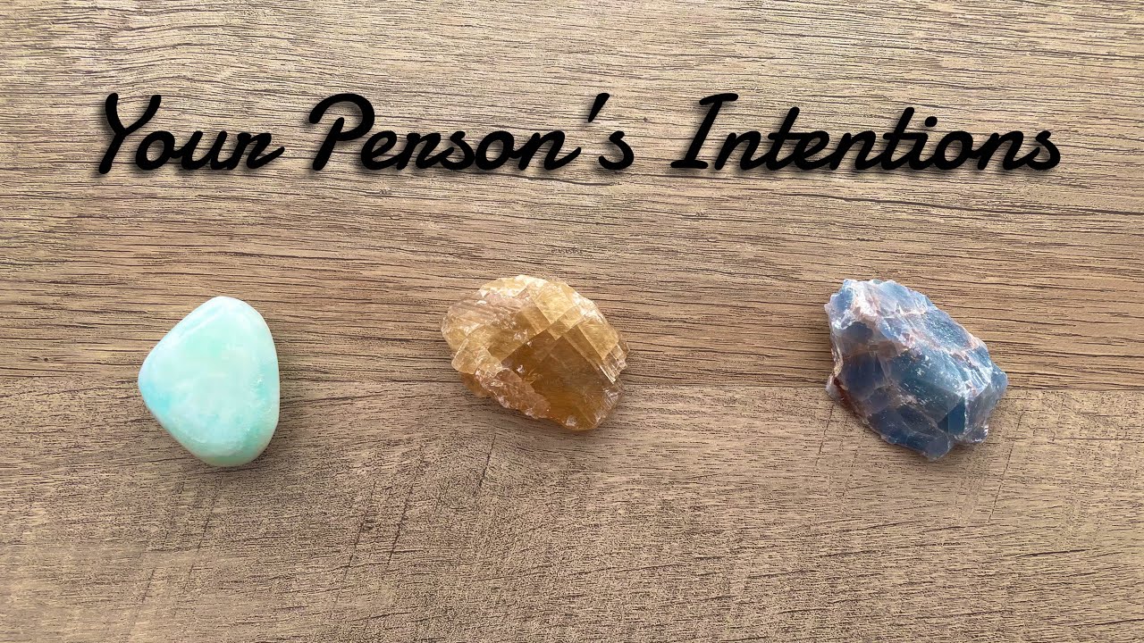 Pick A Card.  What Are Your Person's Intentions? Timeless Love Reading.
