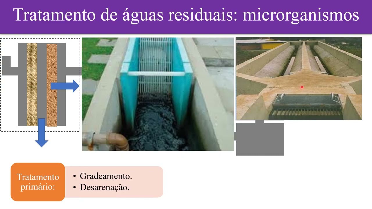 Biotecnologia e meio ambiente: Redução dos resíduos líquidos