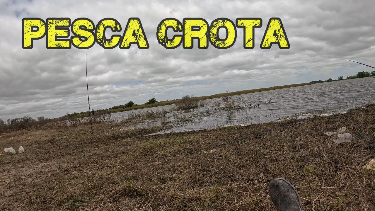 PESQUITAS Y CIRUJIADAS