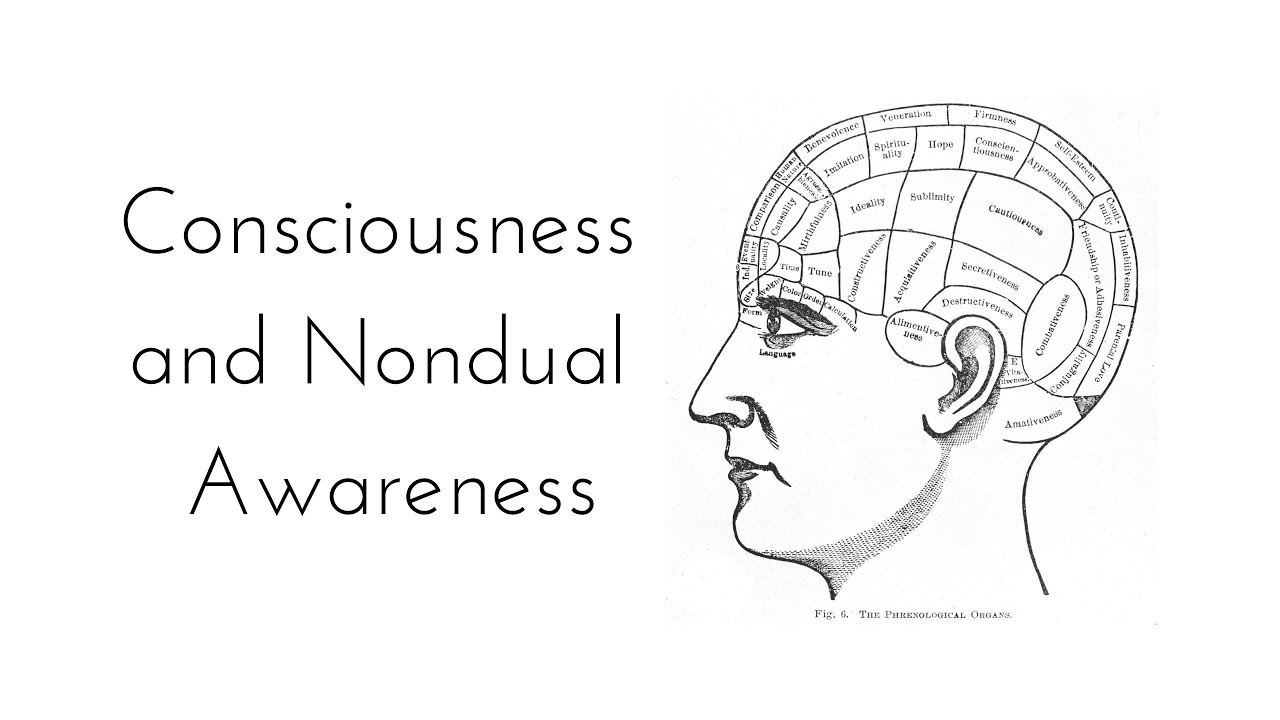 Consciousness and Nondual Awareness