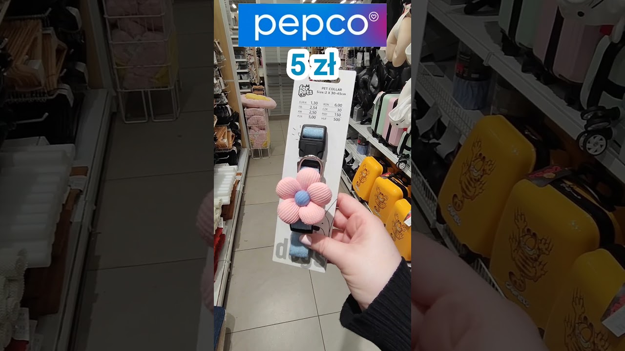 PEPCO 🌷 POSŁANIE KWIATEK 🌷 #pepco #aniabuszuje #shopping #news #home #flowers