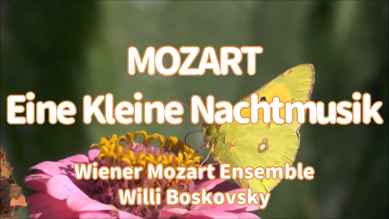 Mozart   Eine Kleine Nachtmusik - Boskovsky