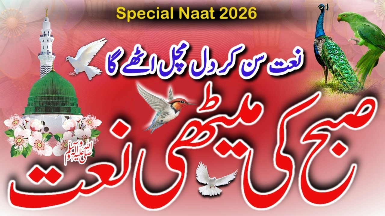 2025 Best Urdu Madina Naat | Most Beautiful Naat Sharif | Top Islamic Naat | Best Naat Sharif