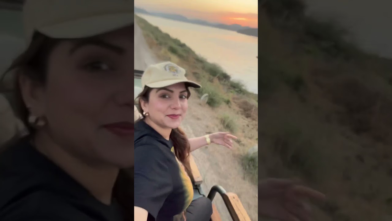 Full guide to Gir national park🦁 #girforest #girnationalpark #lion #safari #junglesafari #animals