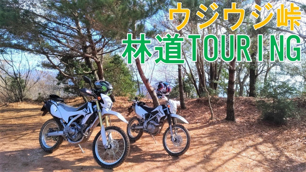 【モトブログ】vol.87 CRF250LとKLX125でダルマ峠ウジウジ峠アタック！林道ツーリングウジウジ峠編！！