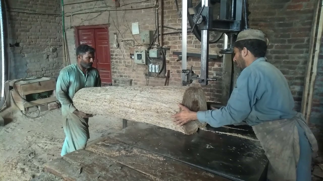 Labour are cutting Sheesham  Wood for house furniture Saw Factory in Pakistan