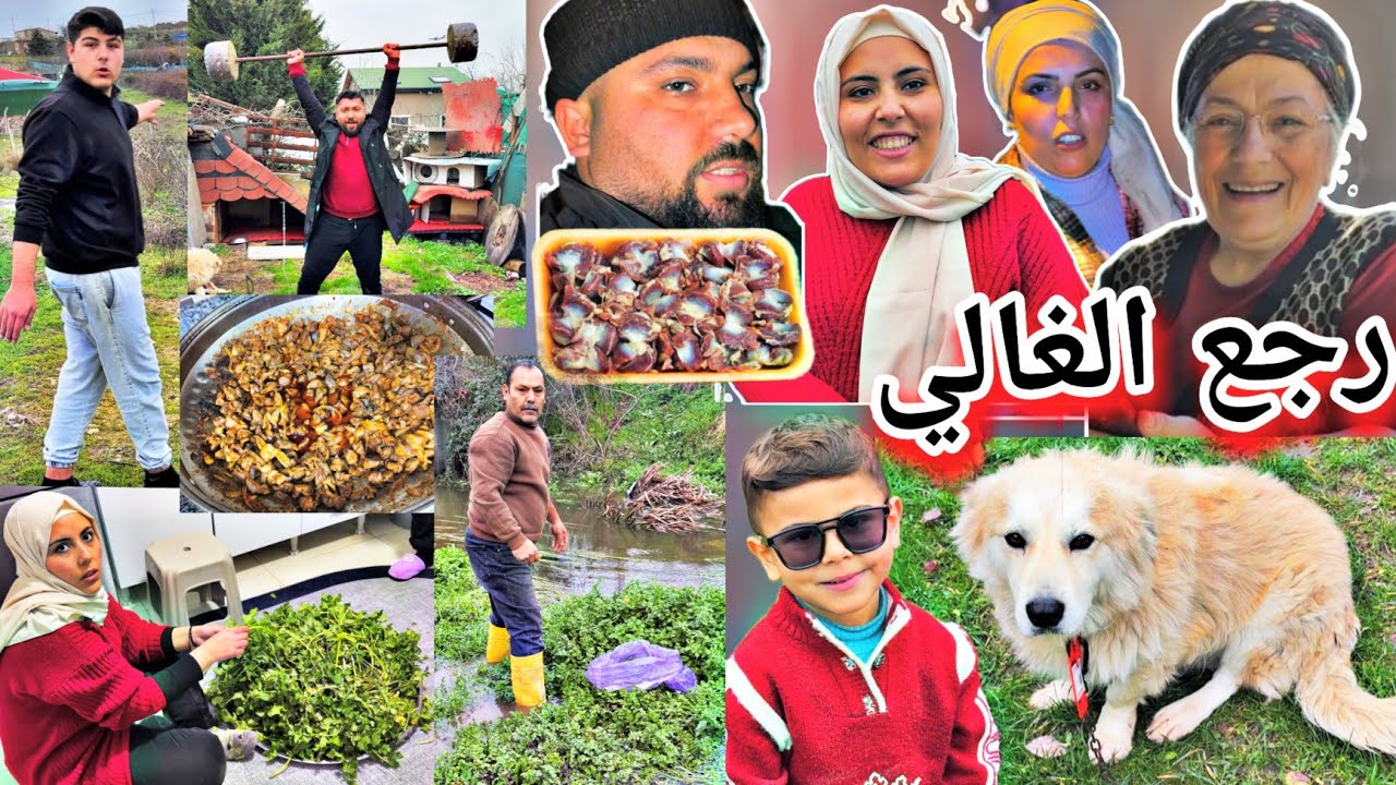 أخيرا رجع الغالي(مانتار)على بيتو😍//لقينا محل توزك ومندك//طبخنا قلوبات دجاج