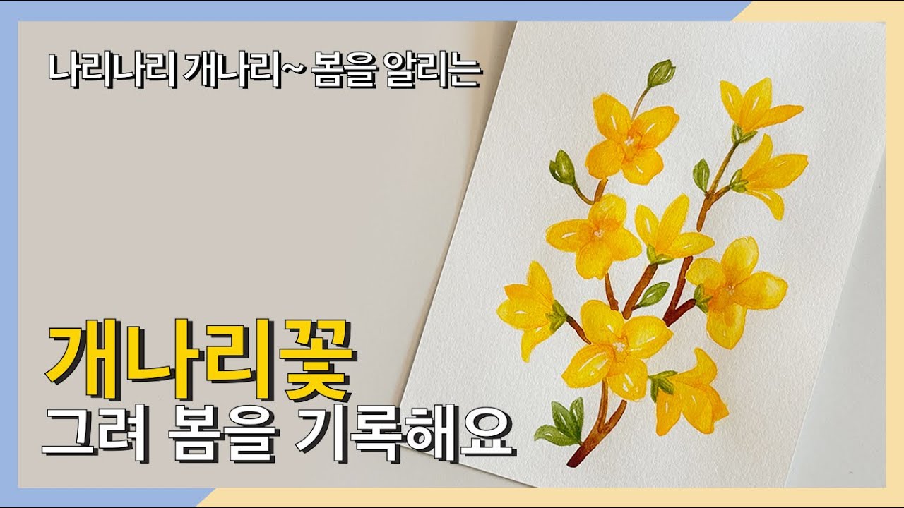 롼쌤 아트 | 나리나리 개나리 가장 먼저 봄을 알리는 개나리 꽃을 그려보아요!