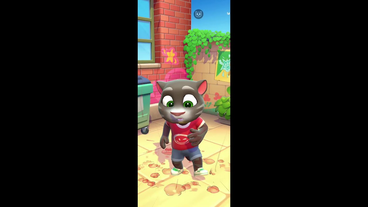 talking tom live #talkingtomlive #talkingtom2live