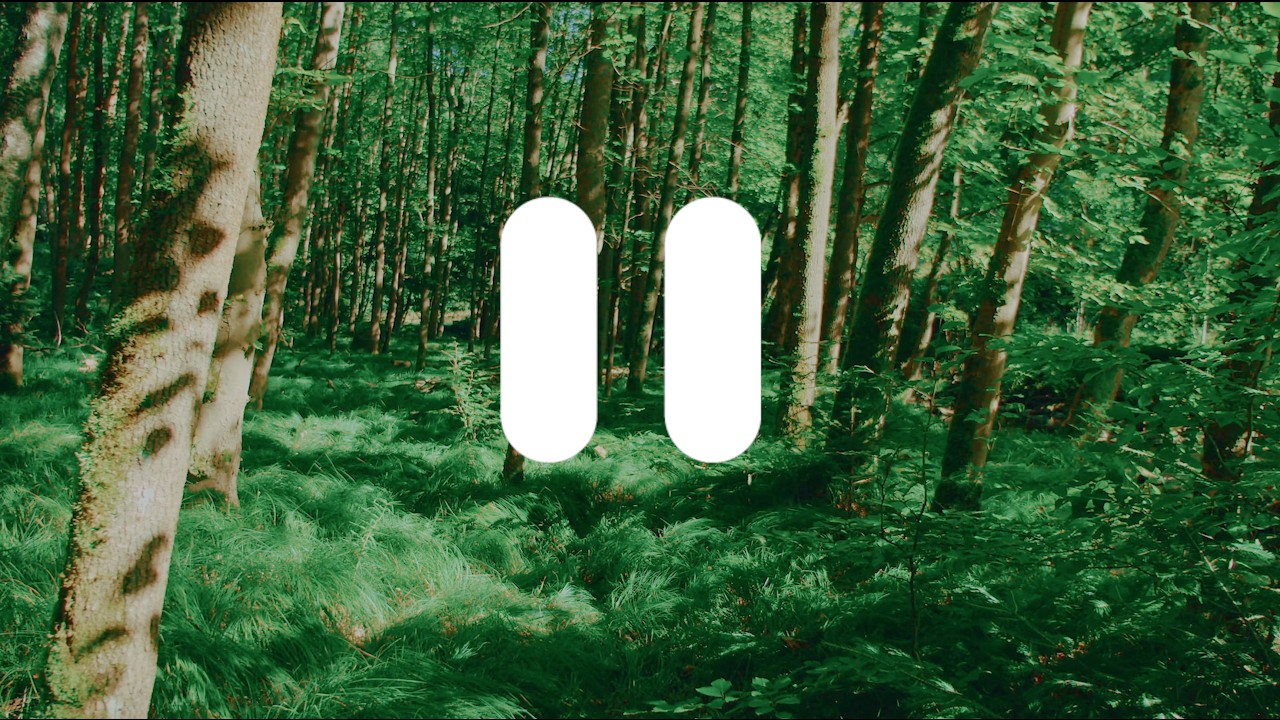 LAUNCH FILM | This is roph.