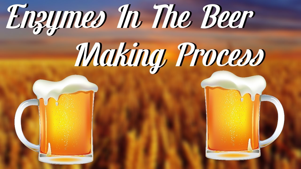 Enzymes | The Beer Making Process | TDM Productions