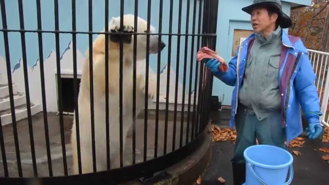 ミルクのおやつタイム（2015.10.24 釧路市動物園）