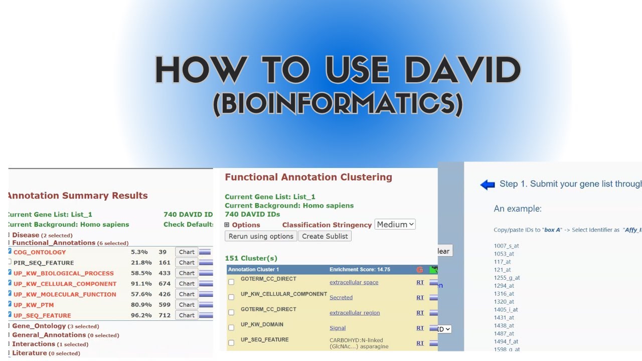 DAVID (Functional and Pathway Annotation Tool) Tutorial