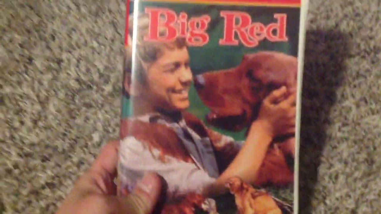 Моя коллекция Disney VHS (издание 2025 г.) Коллекция классических фильмов