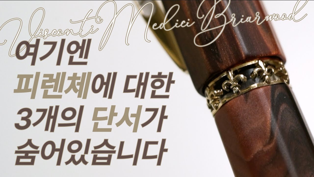 #158 [Eng] 세 달째 꺼낼 때마다 감상중 👑 비스콘티 메디치 브라이어우드 만년필 Fountain pen review - Visconti Medici Briarwood M