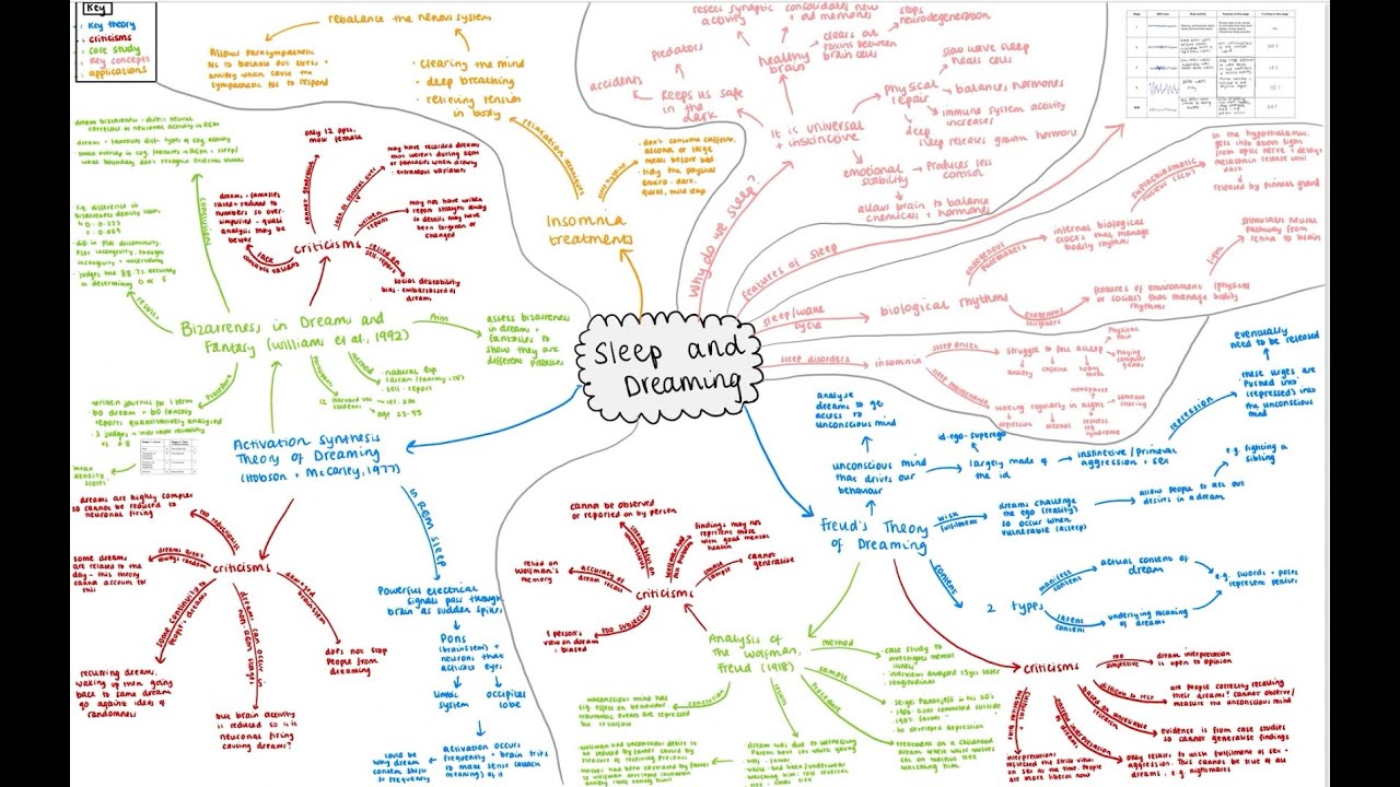 Sleep and Dreaming Topic Overview - OCR GCSE Psychology (Paper 2)