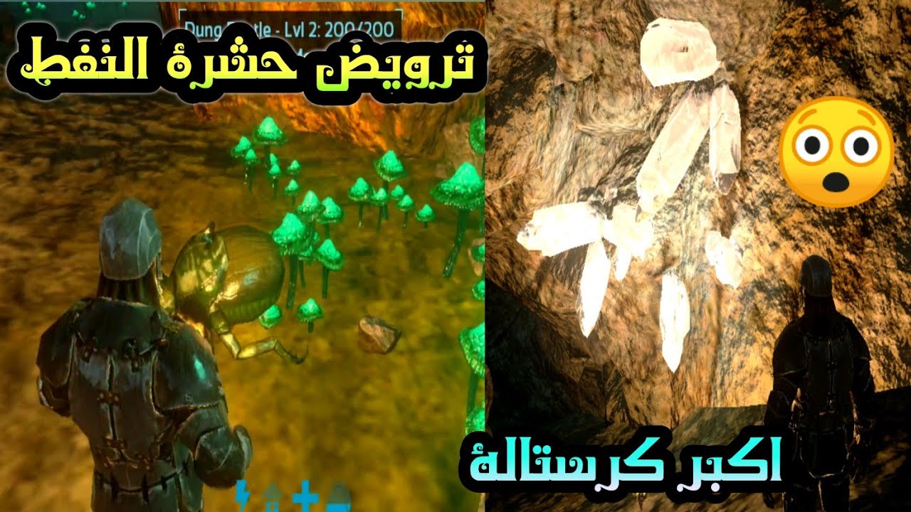 ارك دخول كهف الحشرات و ترويض حشرة النفط | اسرع طريقة للحصول على اكبر كمية كرستال !!