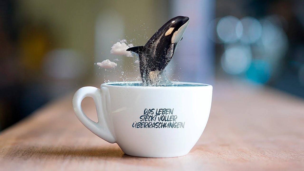 Photoshop Composing für Einsteiger