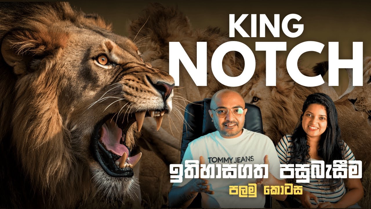 නොච්ගේ පුරාවෘත්තයේ ඇරඹුම සහ තමුගේ සෙනෙහස | The True Story of Legendary Lion Notch: Part 01