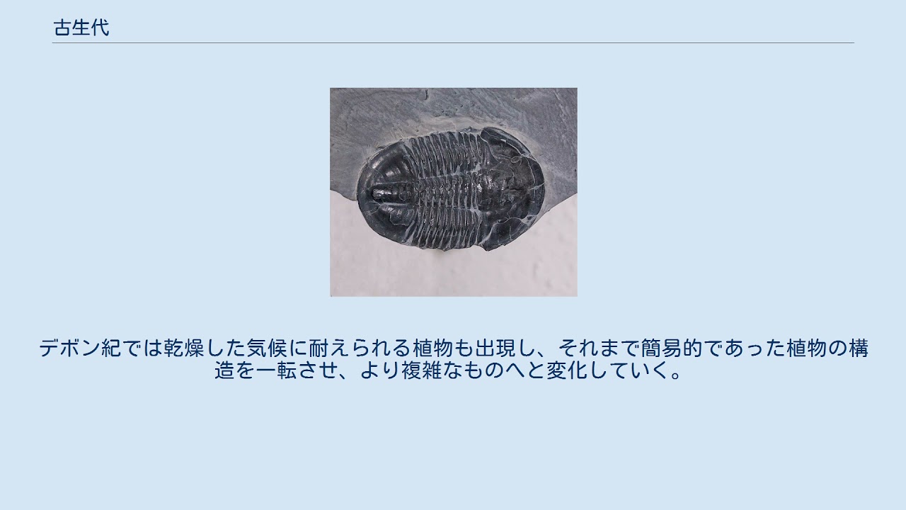 古生代
