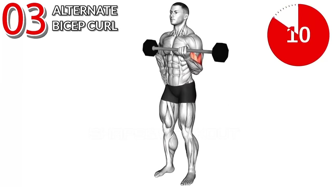 7 Best Arms Exercises You Need To Try Biceps Triceps Workout
