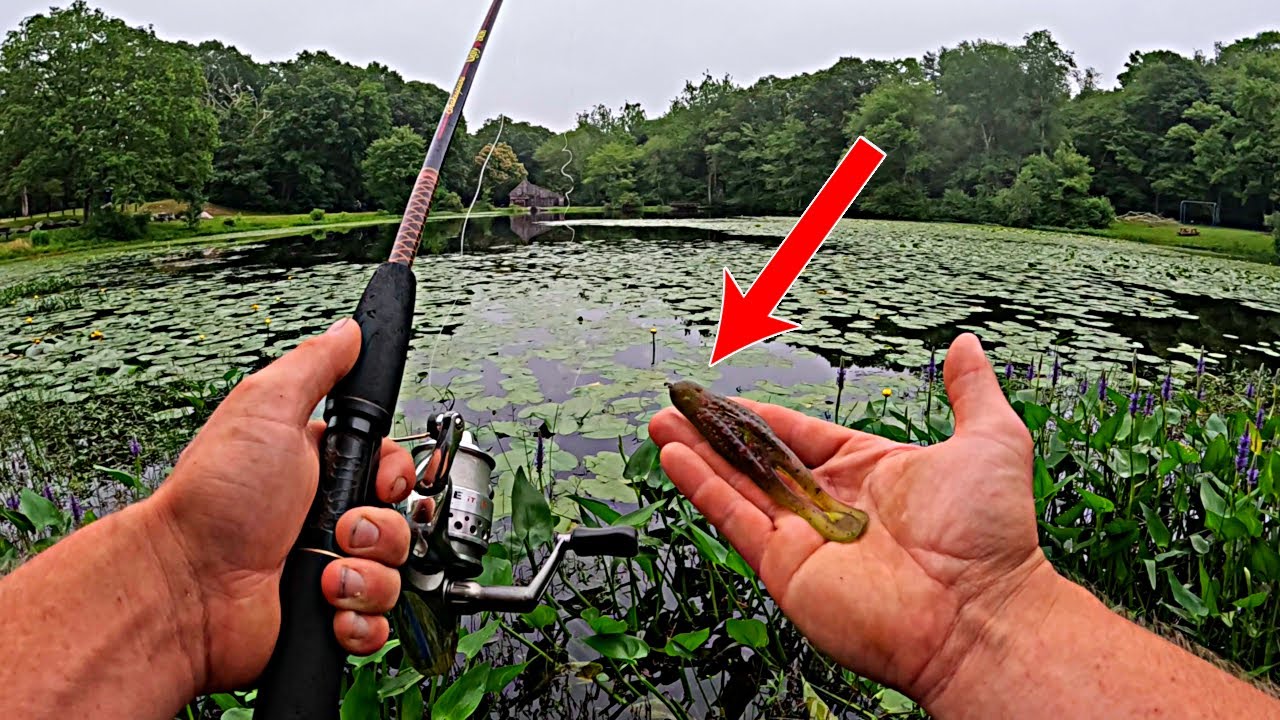 Bass Fishing THICK Lily Pads!!!