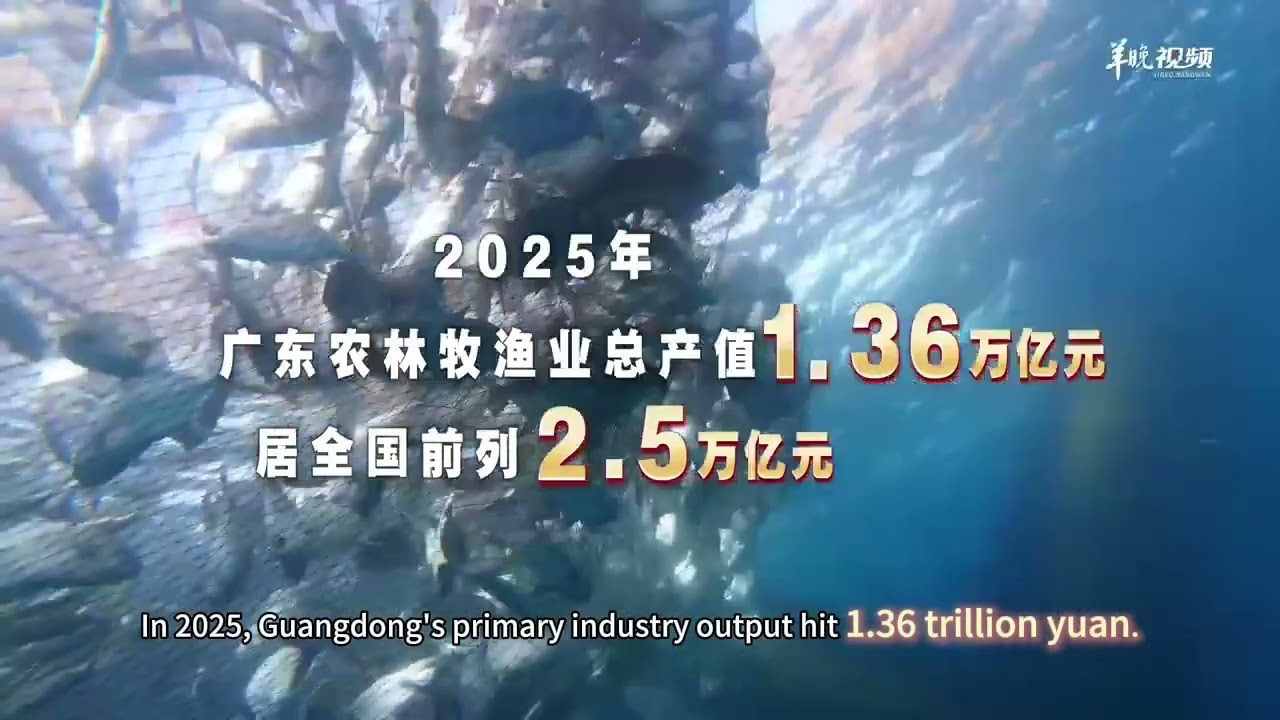 Spotlight on Guangdong’s Ten Trillion-Yuan Industry Clusters