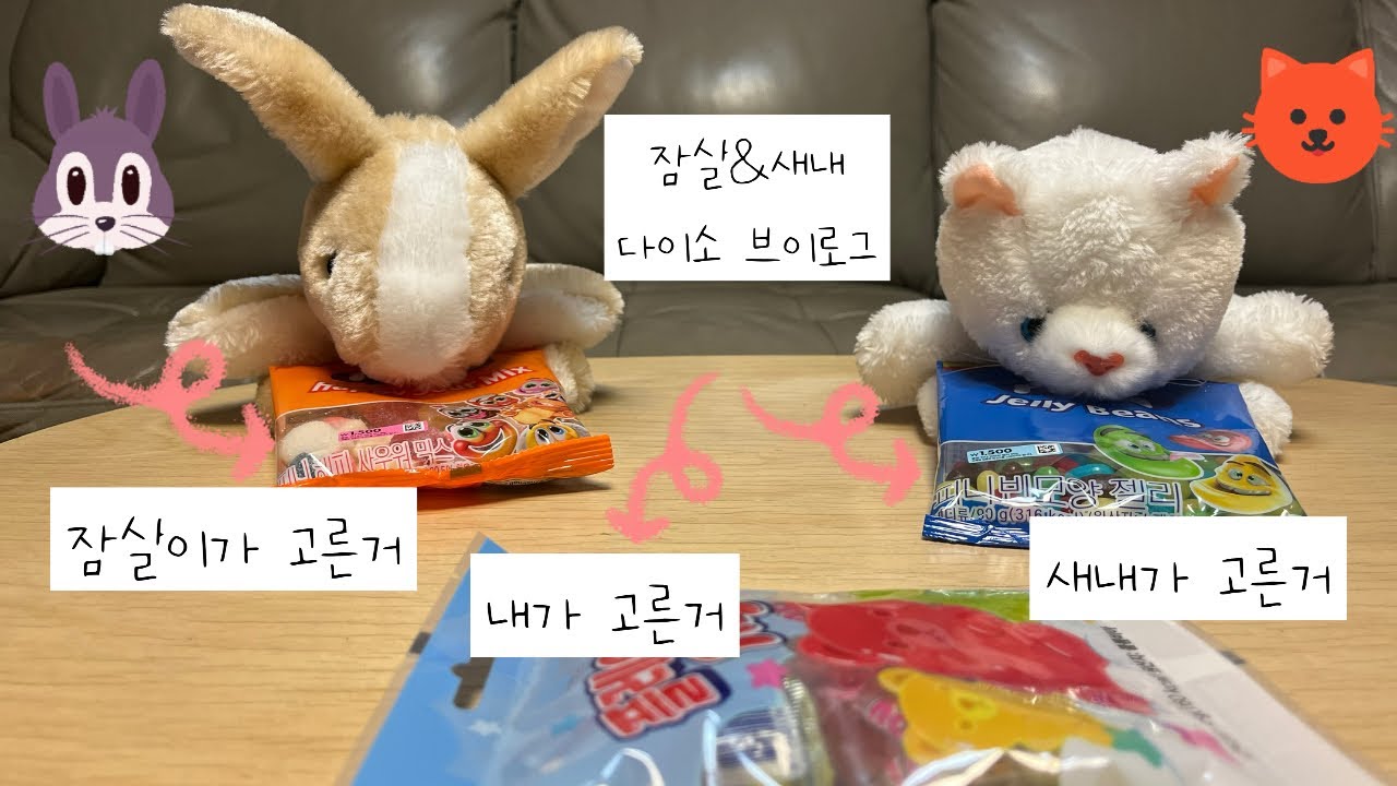 다이소 브이로그 잠실&새내네 #인형놀이 #소꿉놀이 #인형계 #다이소 #잠실 #새내 #토끼 #고양이 #토끼인형 #고양이인형 #힐링 #추천 #cute