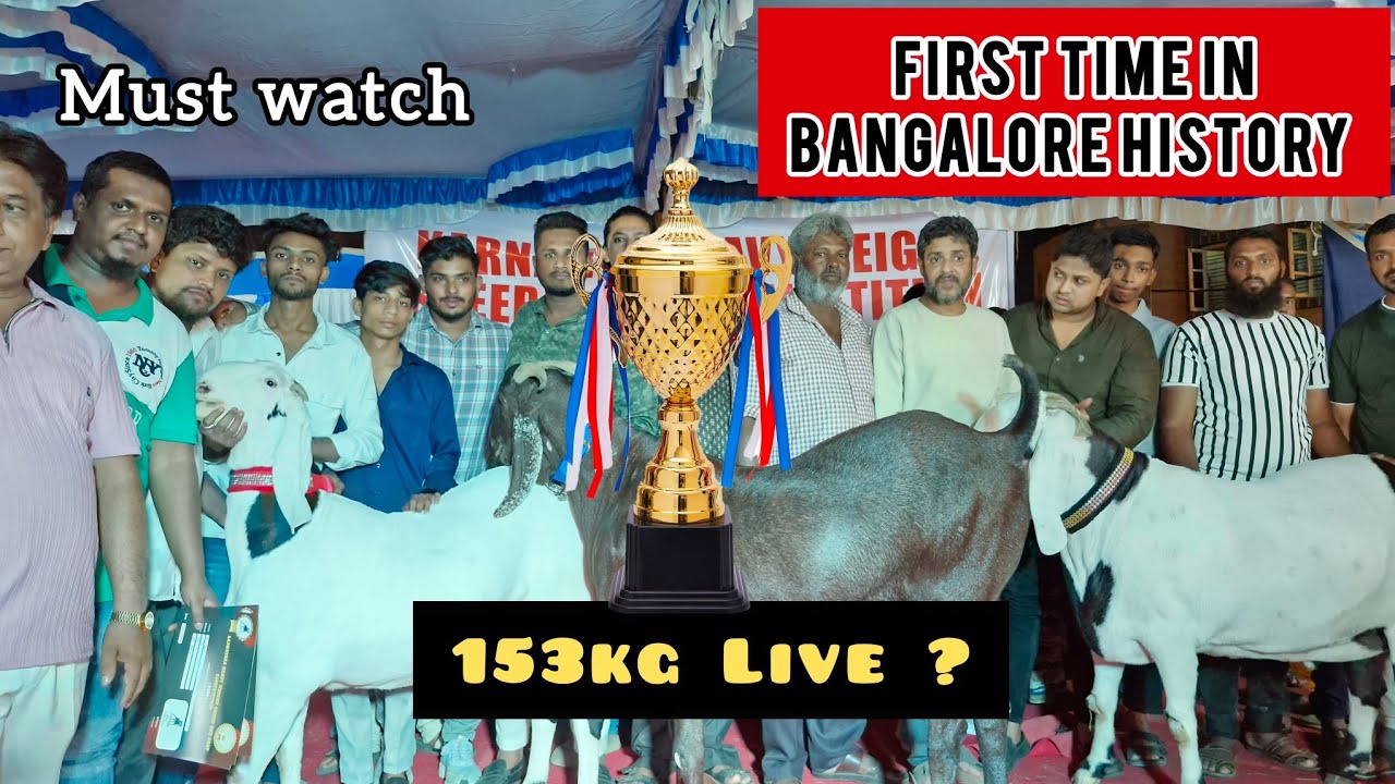 Show Day Karnataka Heavyweight Sheep And Goat Competition Organized by Taj Farm Kunigal