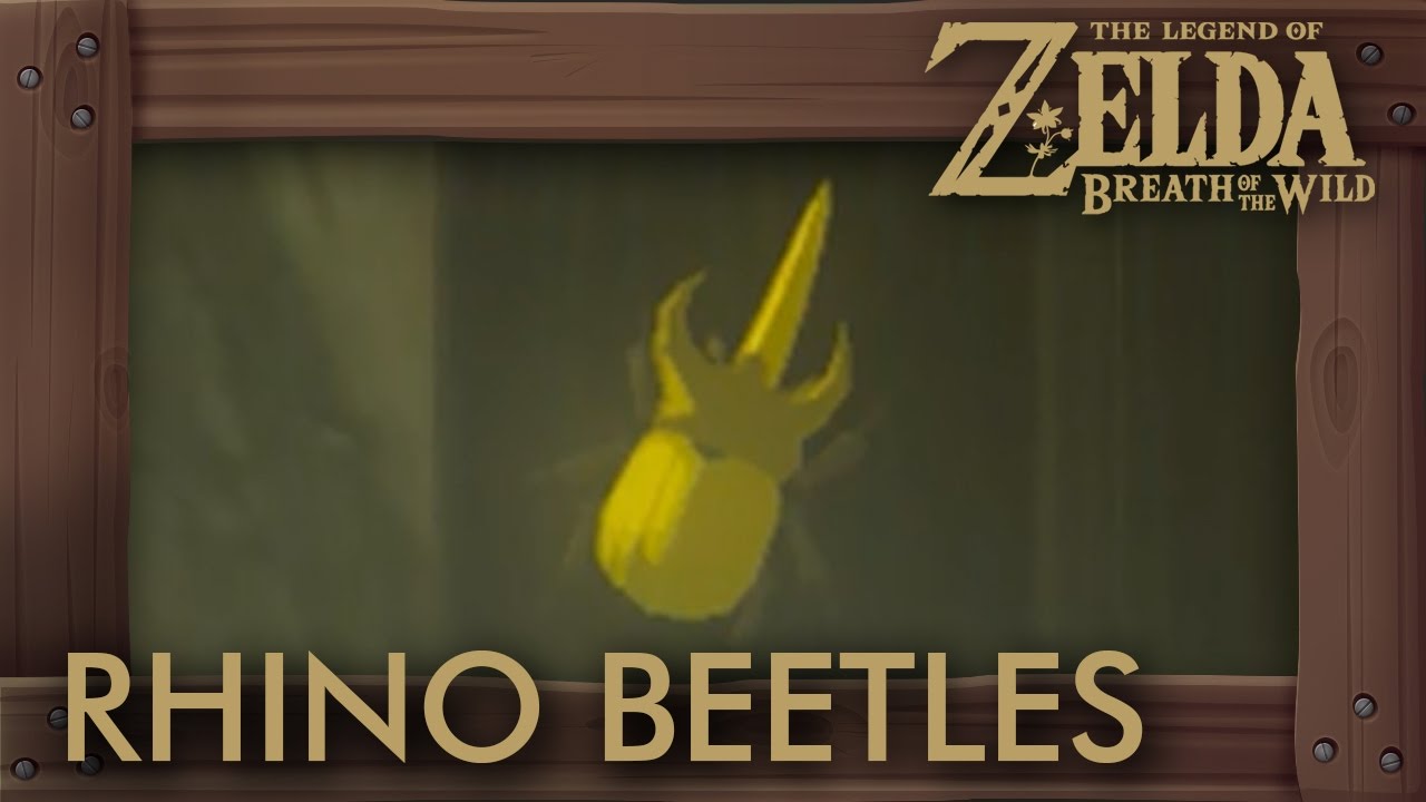 Zelda Breath of the Wild - How to Farm Energetic Rhino Beetles (Wild Set Upgrade Material)