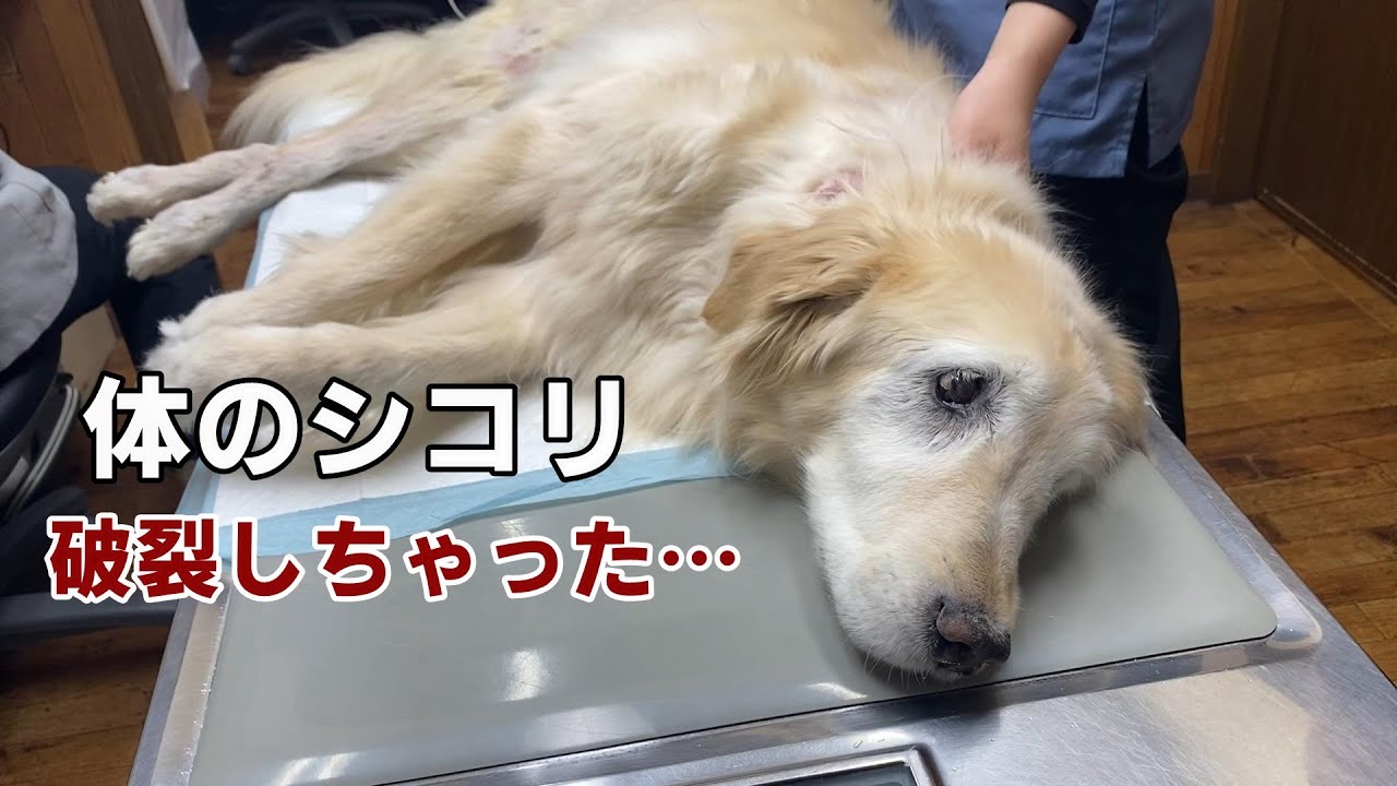 【体の事】首元にあったシコリが破裂しました。