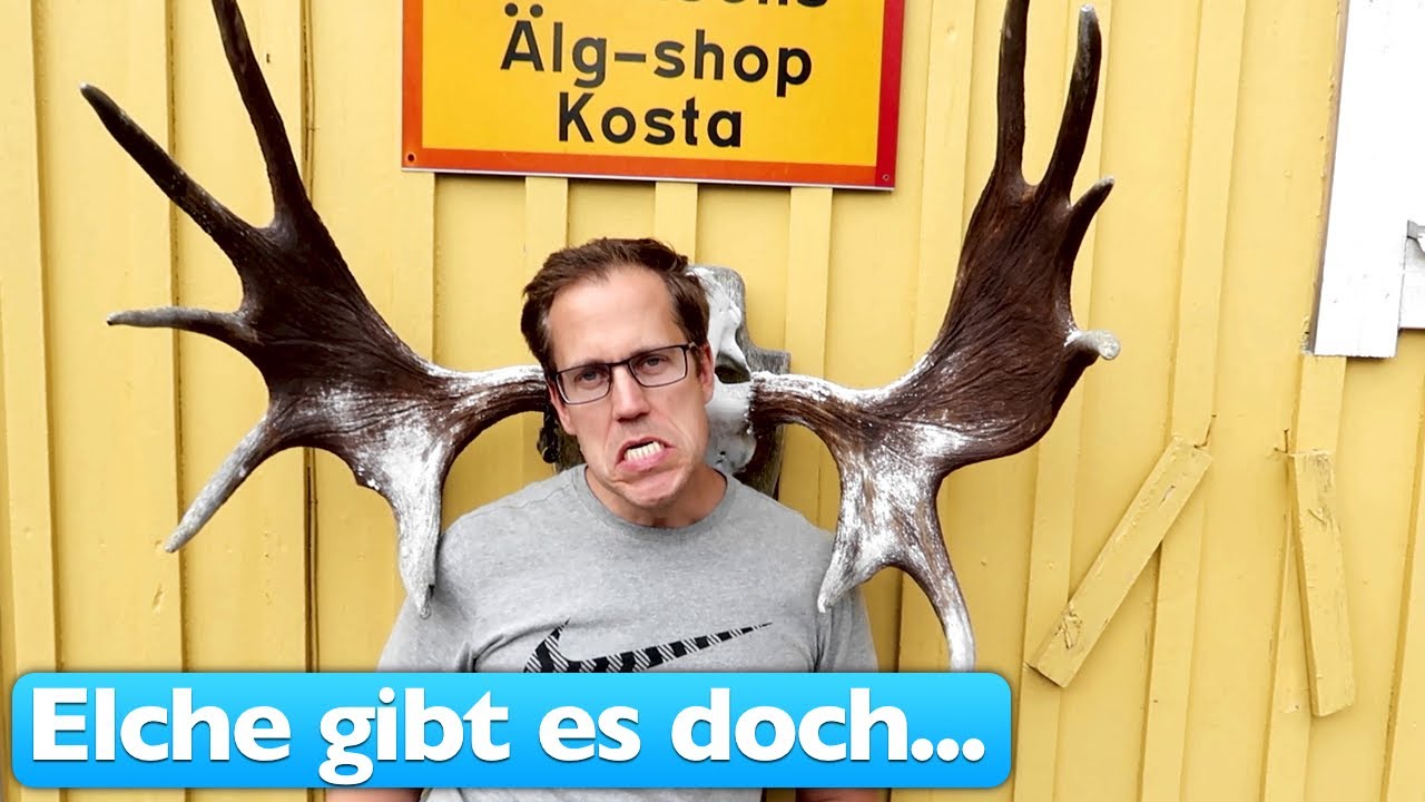 Schwedens schönster Elchpark!