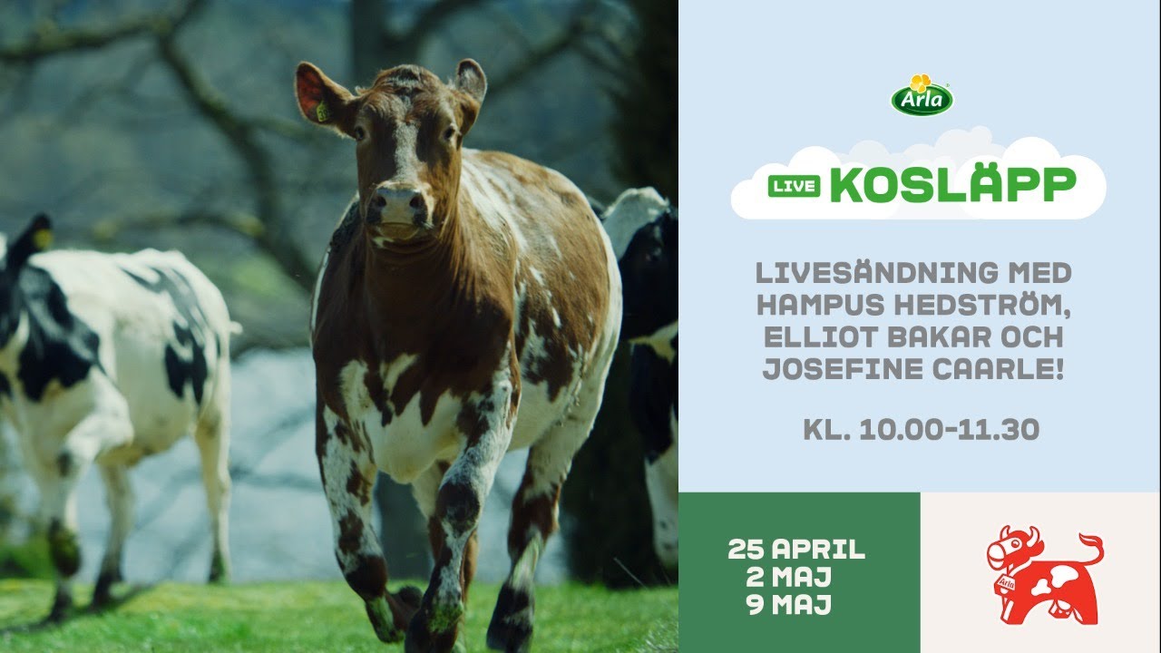 Arla Kosläpp LIVE - Lördag 25 april 2020